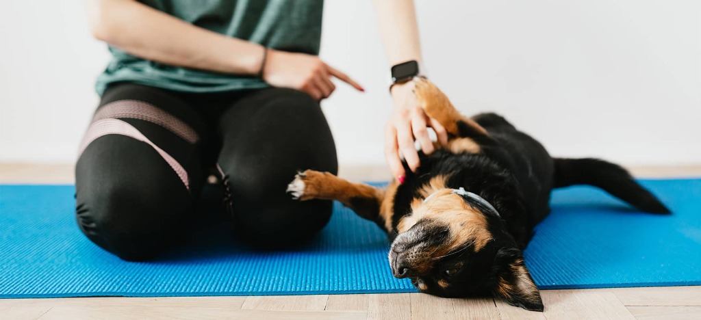 こんな方におすすめです！